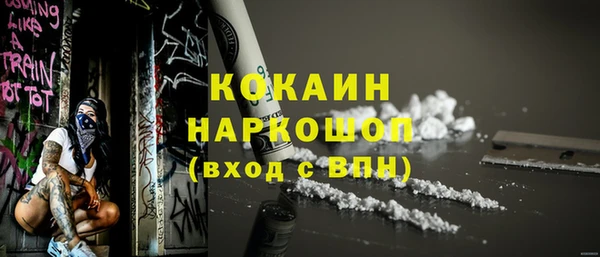 трава Новозыбков