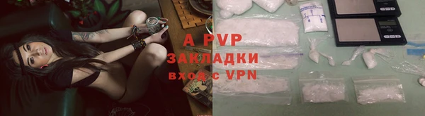 apvp Богданович