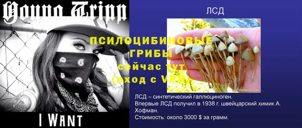 apvp Богданович