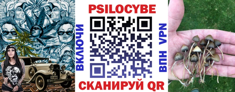 Галлюциногенные грибы мухоморы  MEGA как войти  Кирсанов 